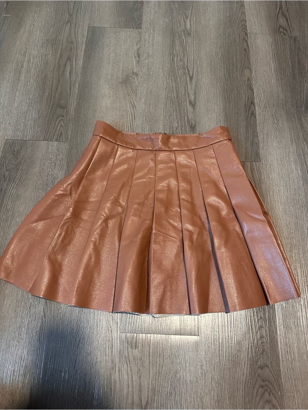 Aritzia Sunday best Pleated Faux-Leather Mini Skirt